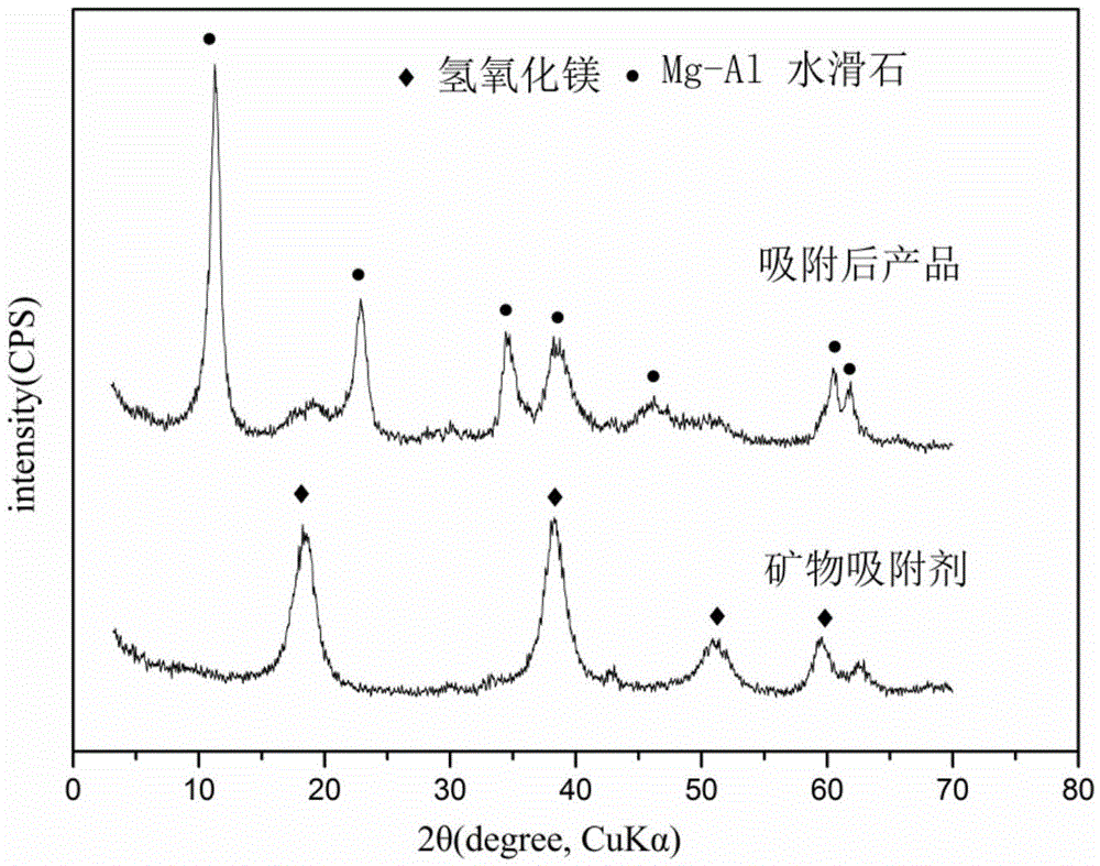 Mineral precursor adsorbing agent and preparation method and application thereof
