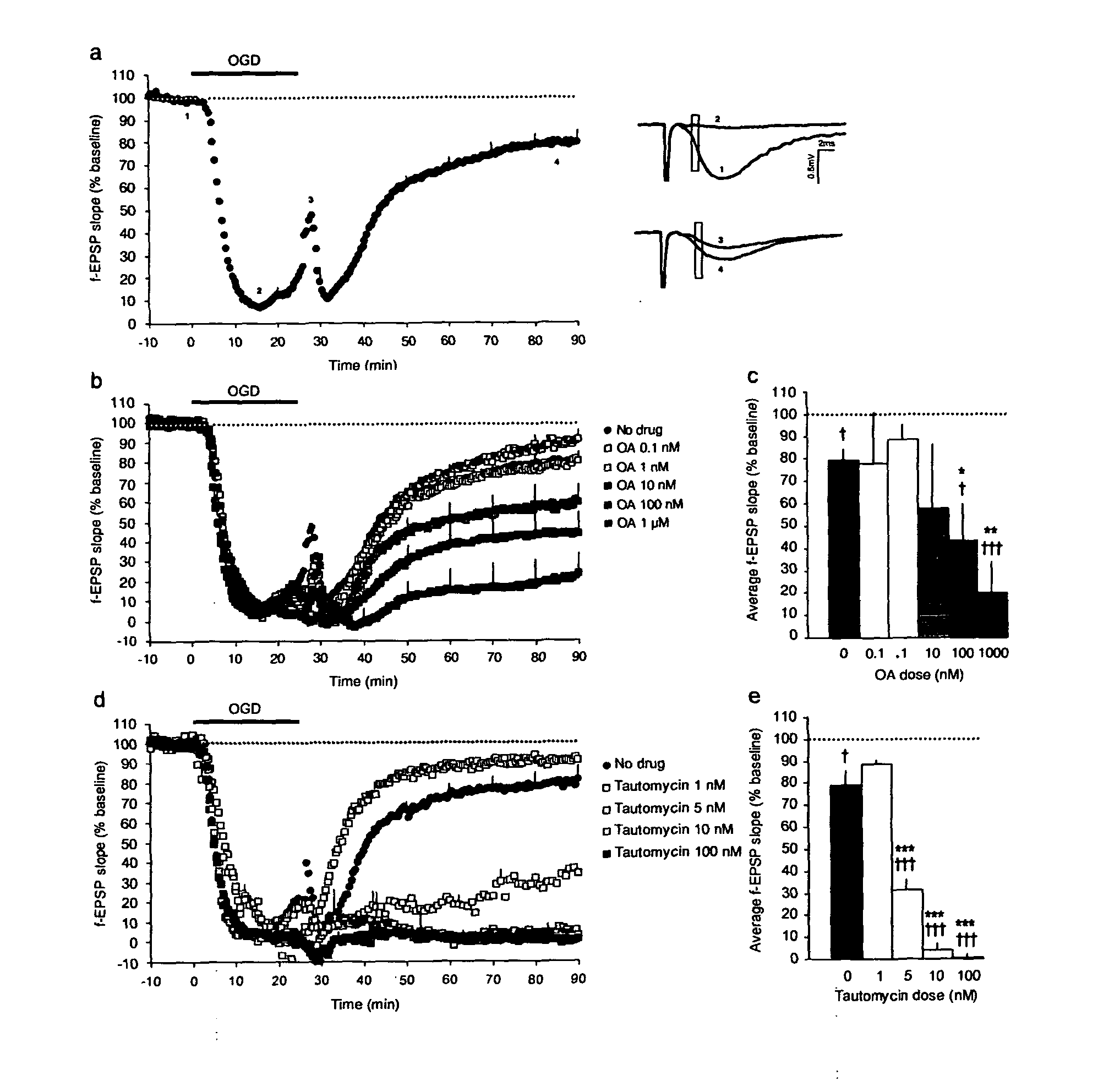 Method of preventing and treating acute brain pathologies