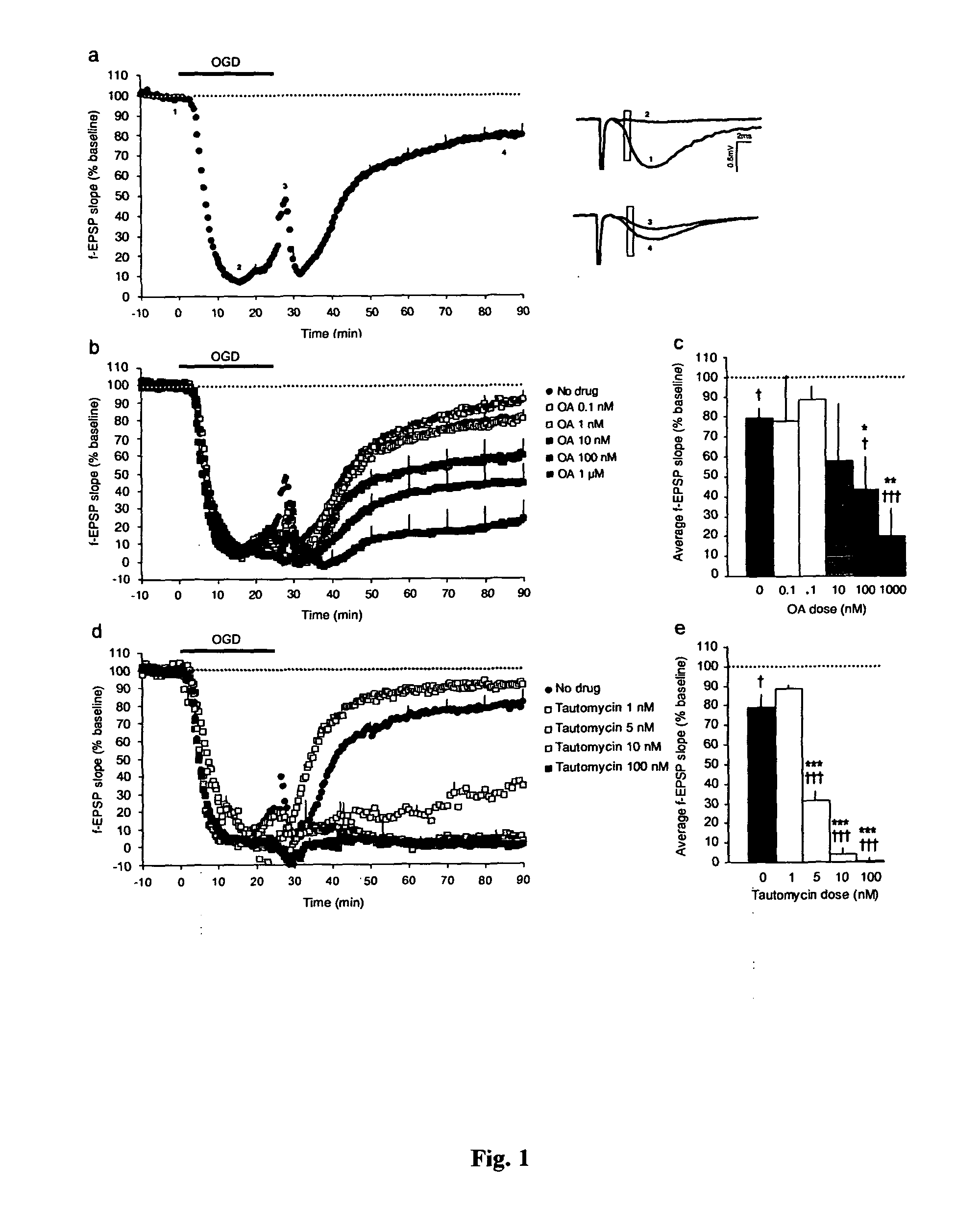 Method of preventing and treating acute brain pathologies