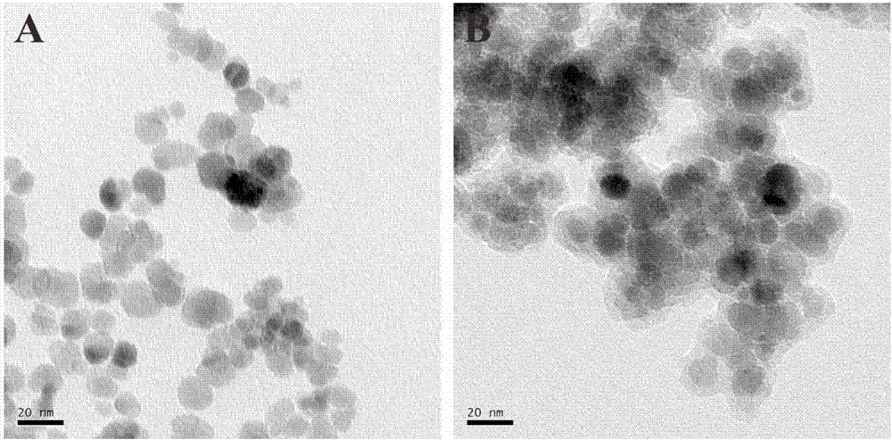 Magnetic nano composite capable of absorbing perfluorochemicals and preparation method thereof