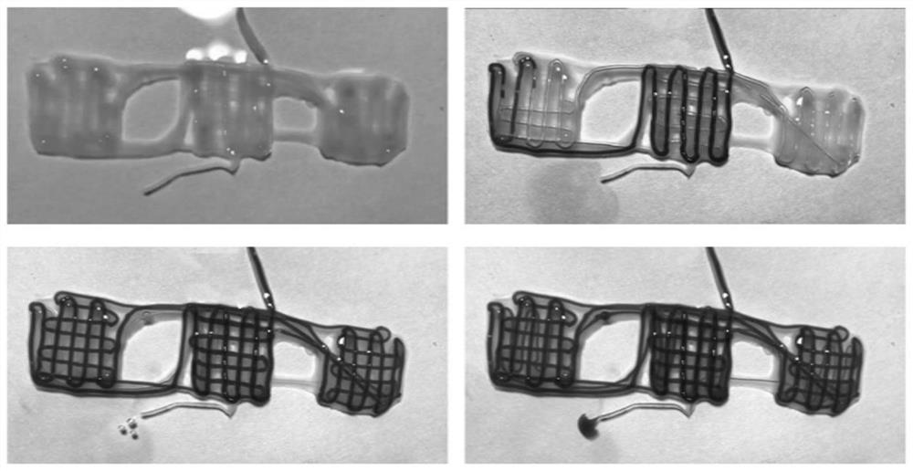 Making method of three-dimensional vascularized musculocutaneous flap based on biological 3D printing