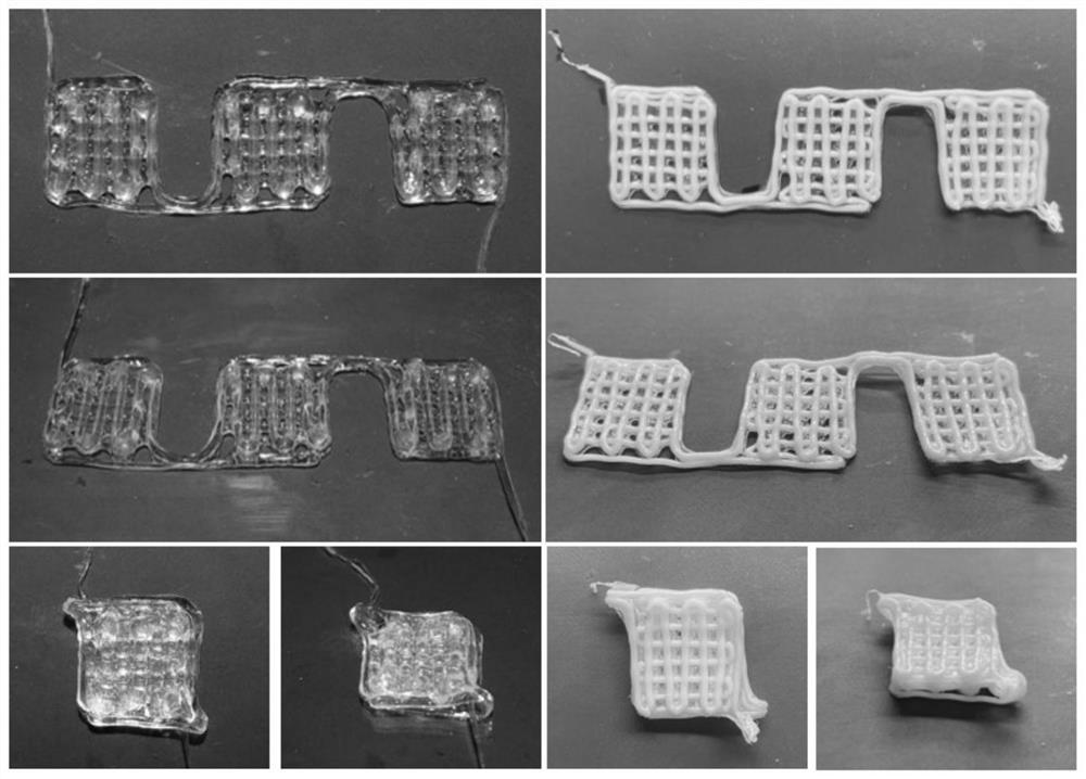Making method of three-dimensional vascularized musculocutaneous flap based on biological 3D printing