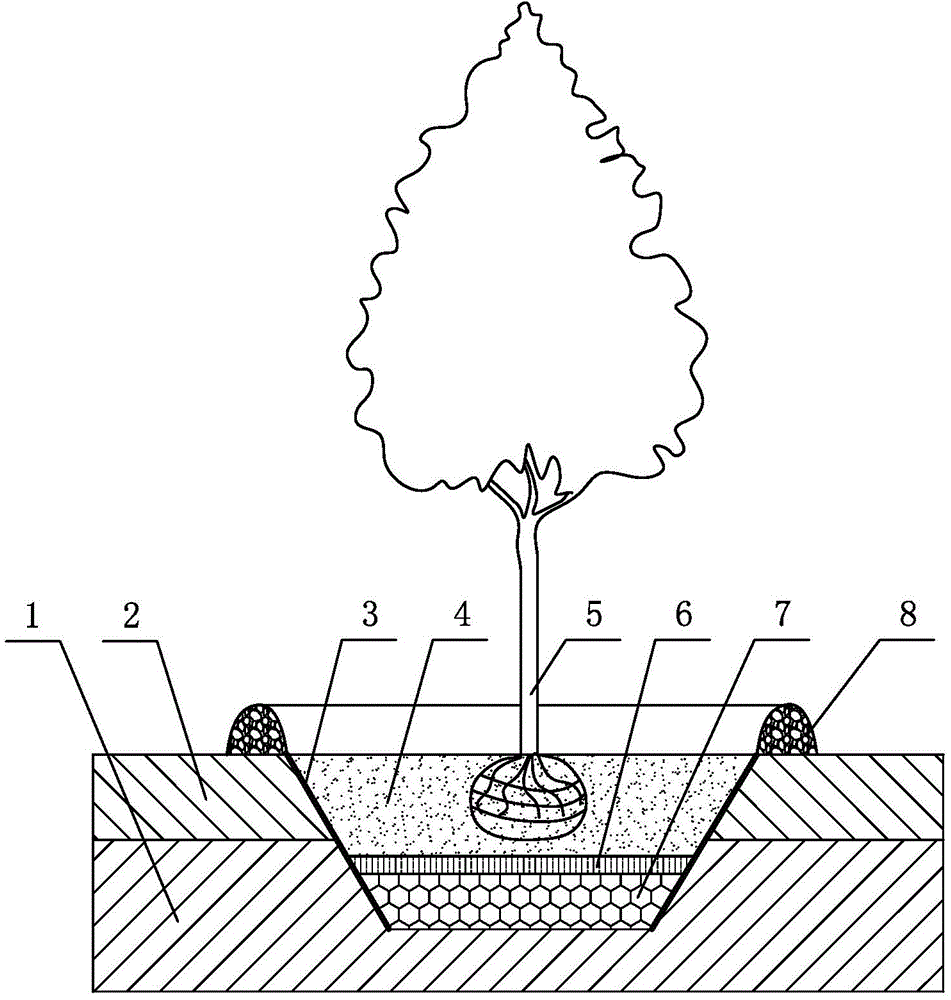 Tree planting method and tree planting structure in coastal saline and alkaline area