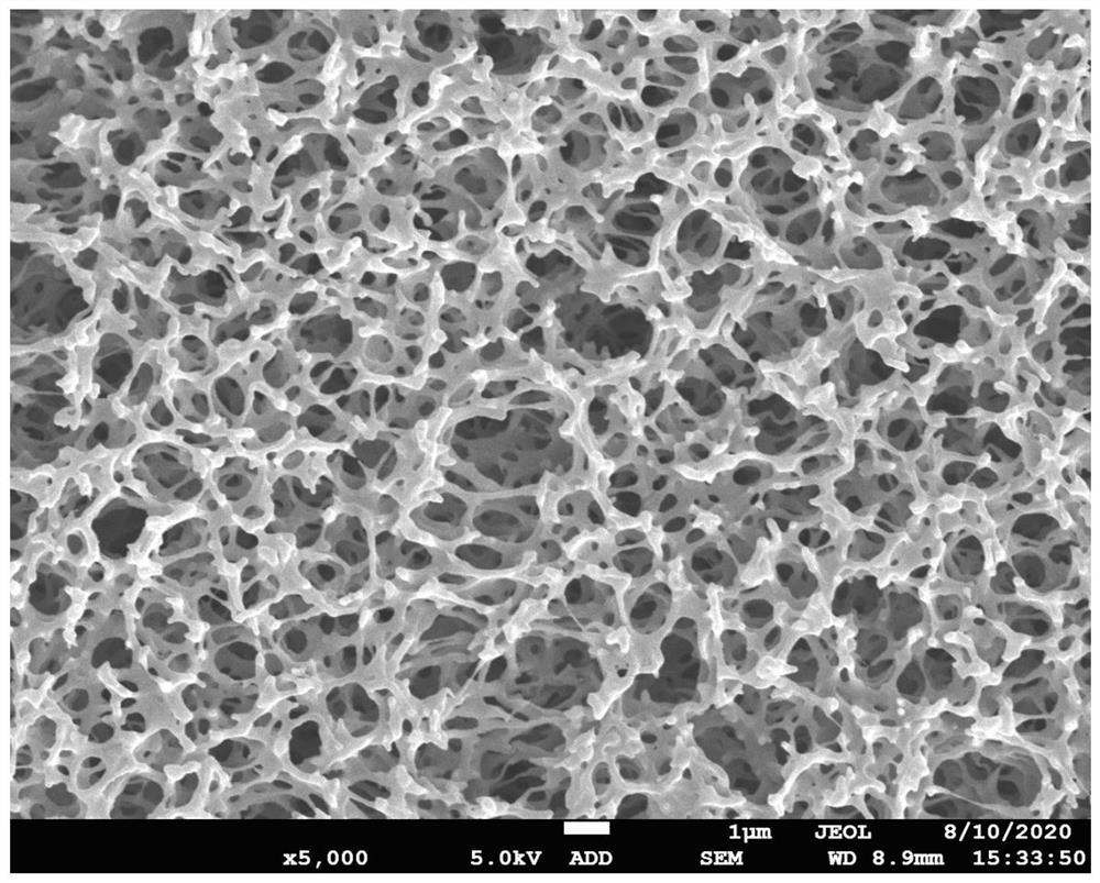 Poly(4-methyl-1-pentene) hollow fiber membrane with gradient pore structure and preparation method thereof