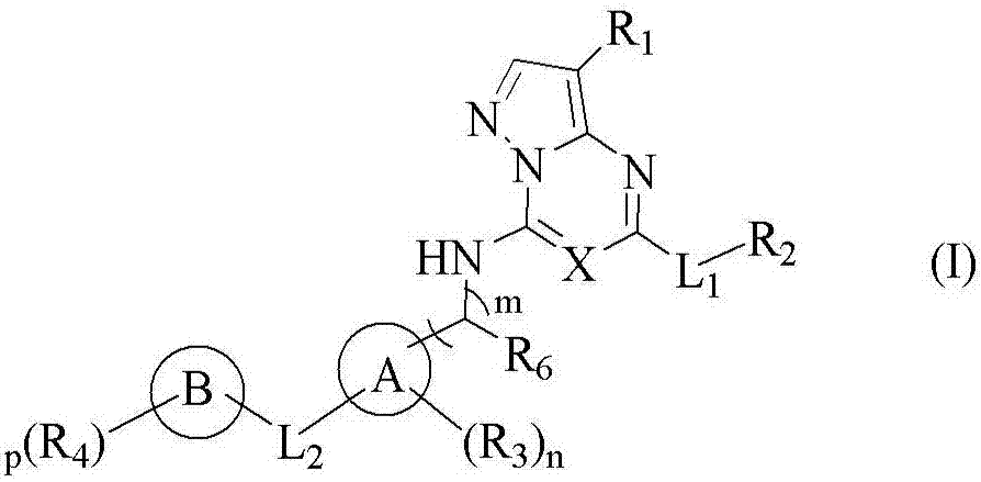Pyrazolo[1,5-a][1,3,5]triazine and pyrazolo[1,5-a]pyrimidine derivatives as CDK inhibitors