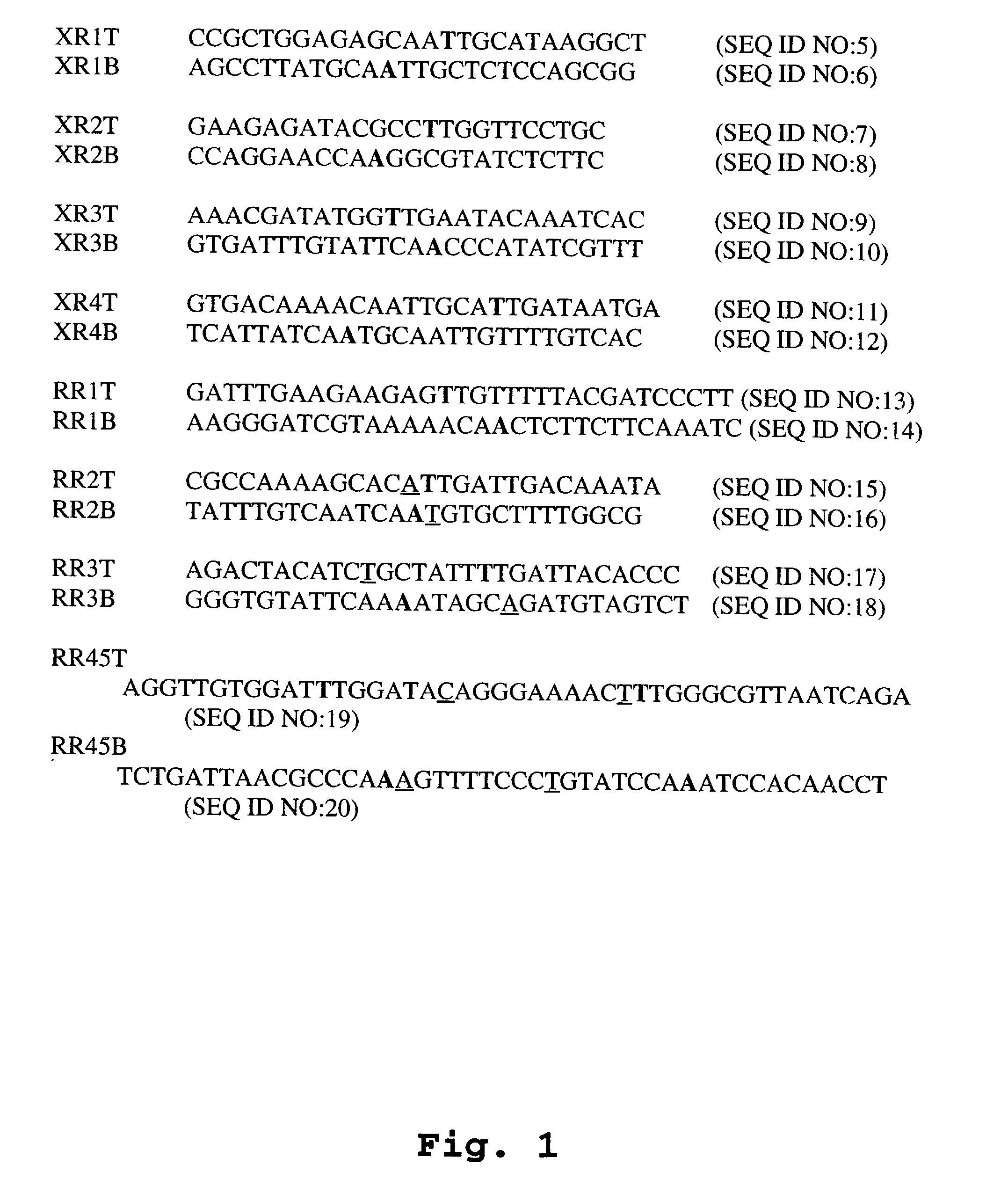 Methods of screening for introduction of DNA into a target cell