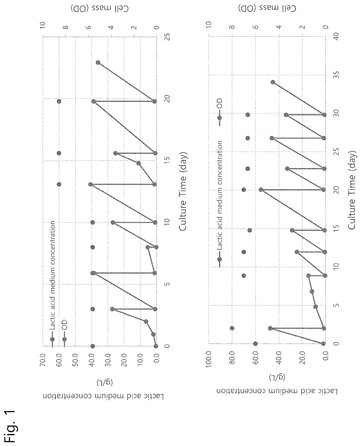 Recombinant acid-resistant yeast having improved lactic-acid-producing ability