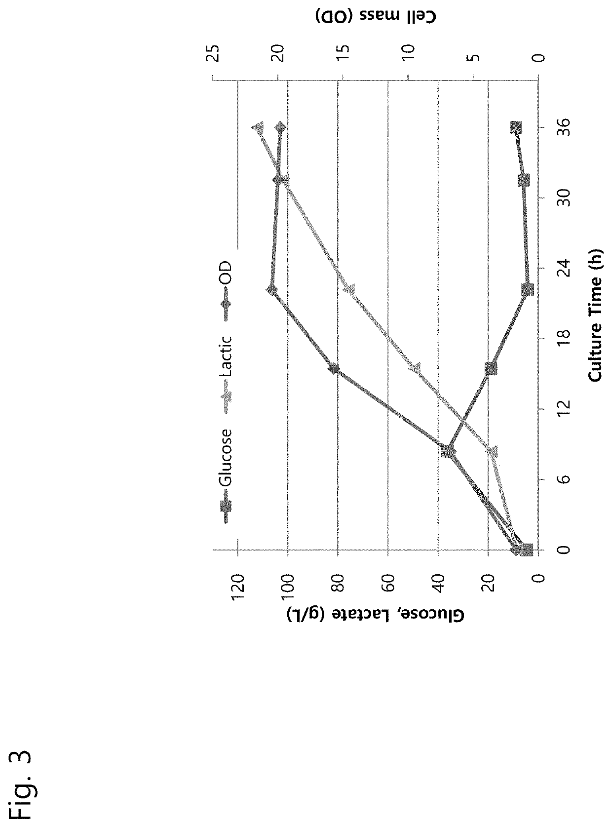 Recombinant acid-resistant yeast having improved lactic-acid-producing ability