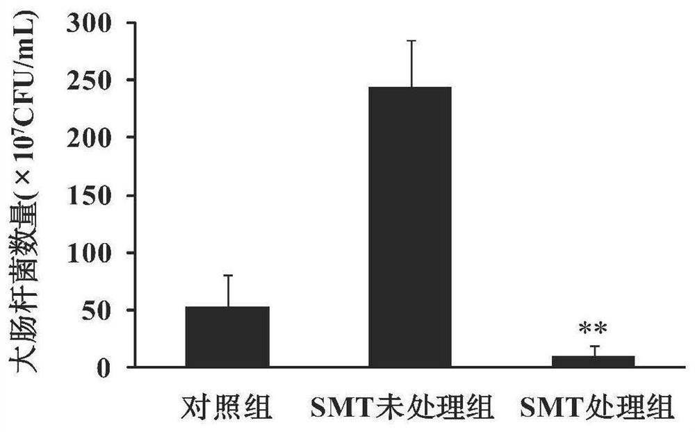 Application of S-methylisothiourea sulfate in preparation of anti-influenza virus and escherichia coli co-infection drugs