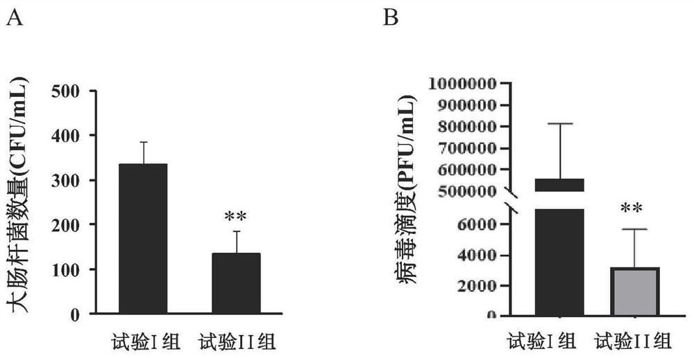 Application of S-methylisothiourea sulfate in preparation of anti-influenza virus and escherichia coli co-infection drugs