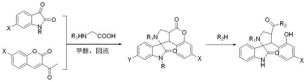 3'-phenyl spirono[indoline-3, 2'-pyrrolidine]-2-ketone derivative and preparation method and application thereof