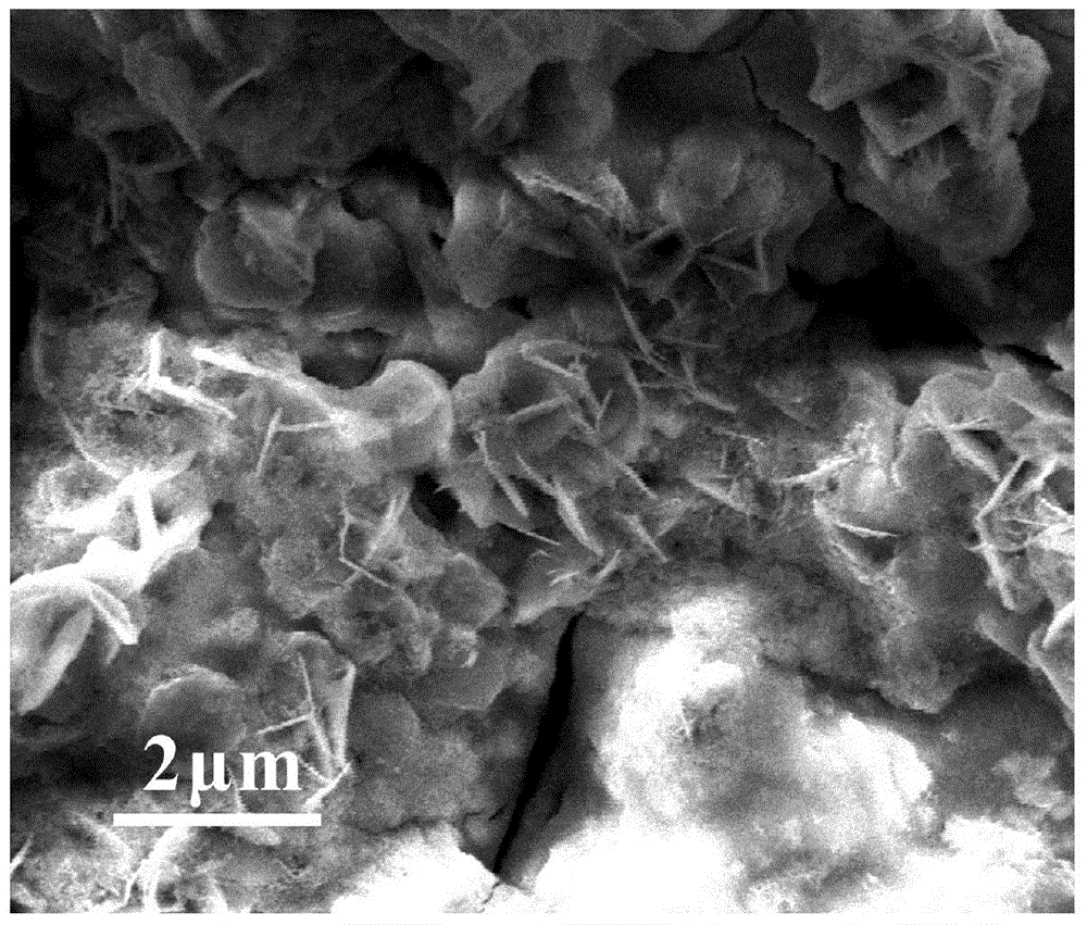 Multifunctional composite coating for lithium aluminate nanosheets