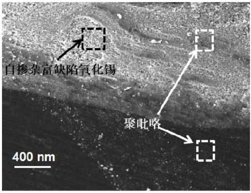 Preparation method of polypyrrole/self-doped defect-rich tin oxide heterojunction nano composite photocatalytic material