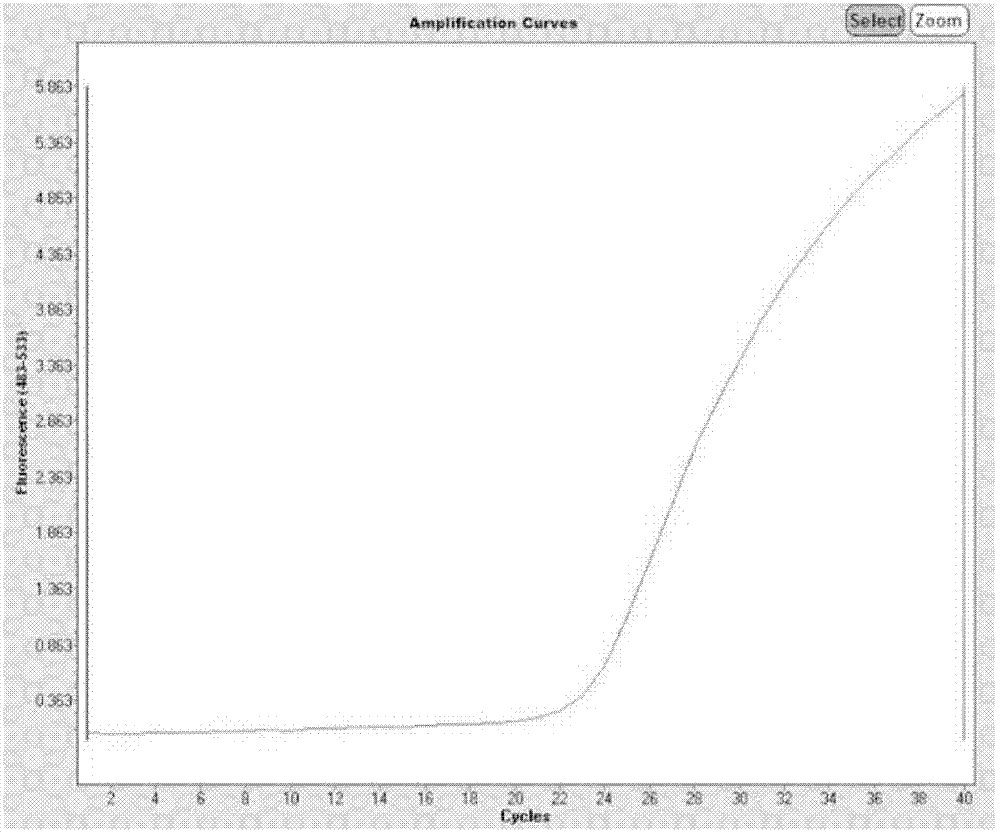 Kit for rapidly detecting human leucocyte antigen B27 (HLA-B27)