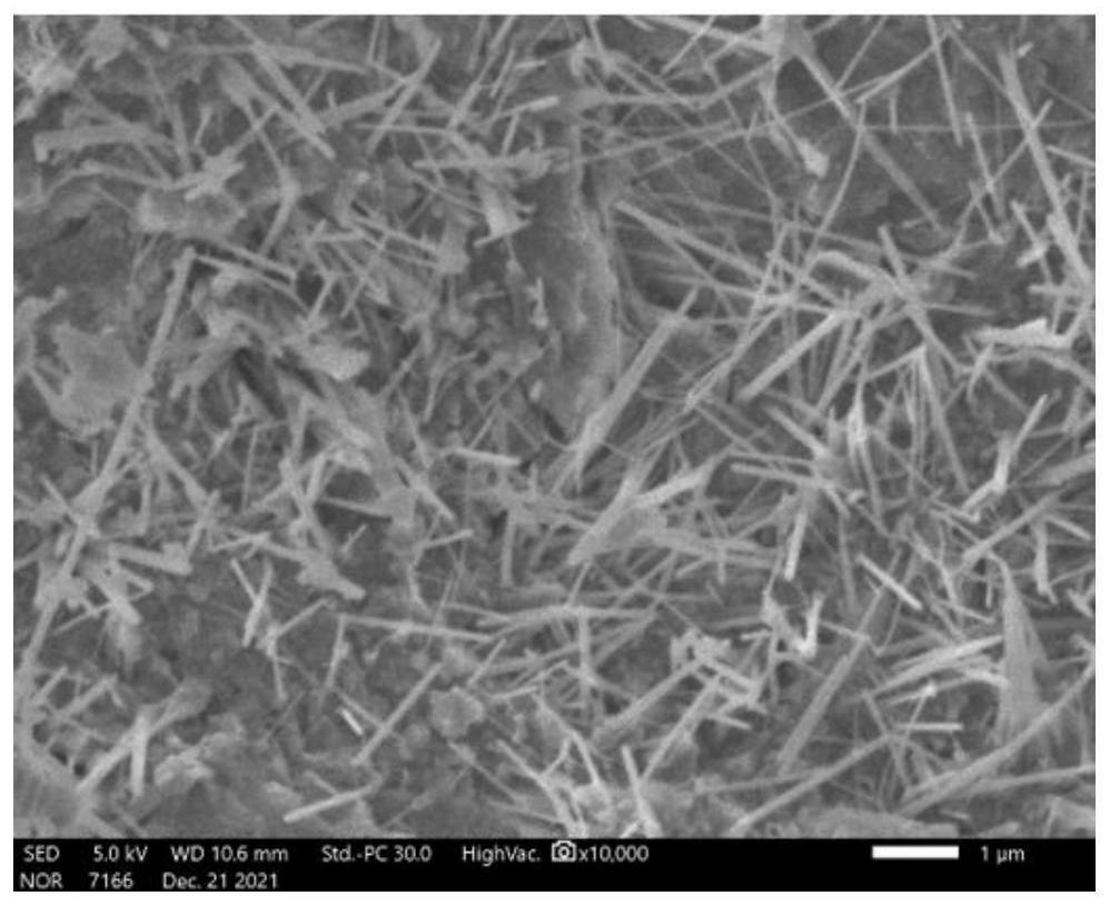 Hot-press molded maintenance-free solid waste-based artificial stone and preparation method thereof