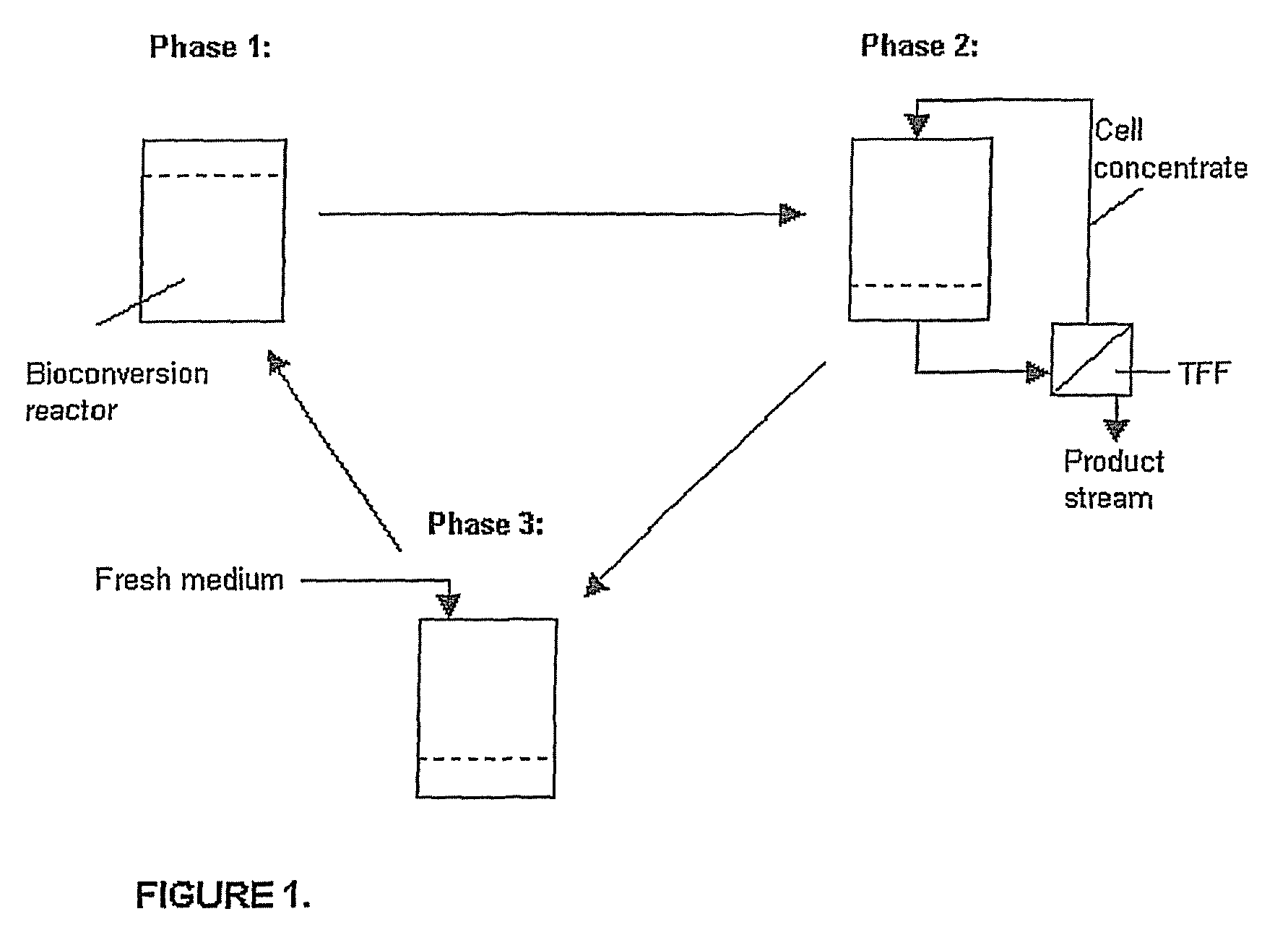 Process for producing D-mannitol