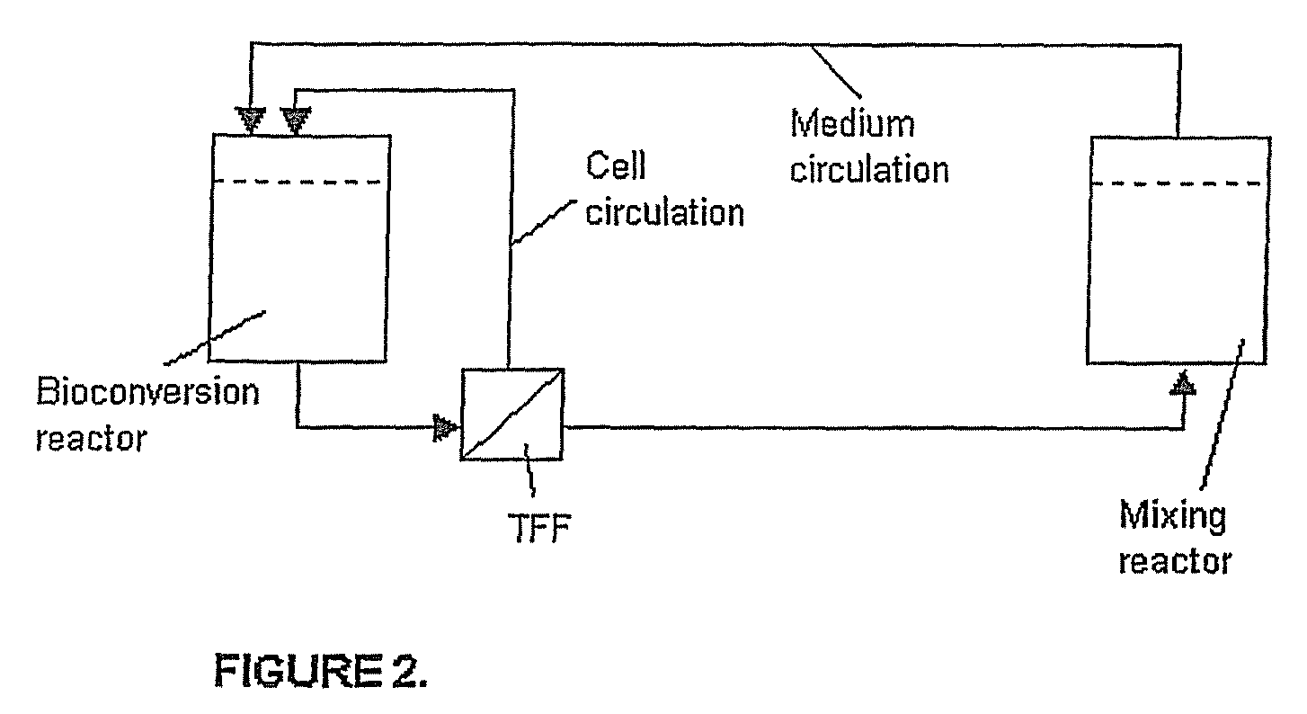 Process for producing D-mannitol