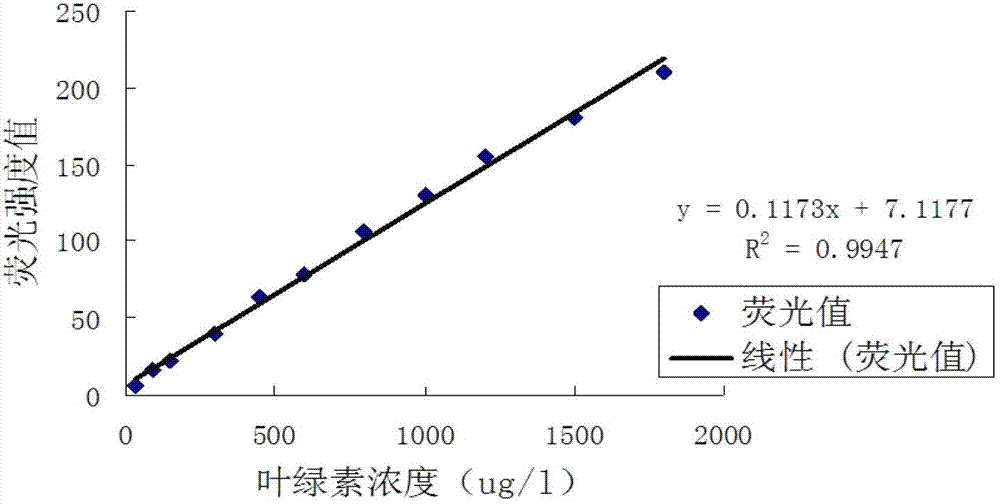 Method for quickly and real-timely measuring water chlorophyll through replacing chlorophyll standard substance with microcystis aeruginosa