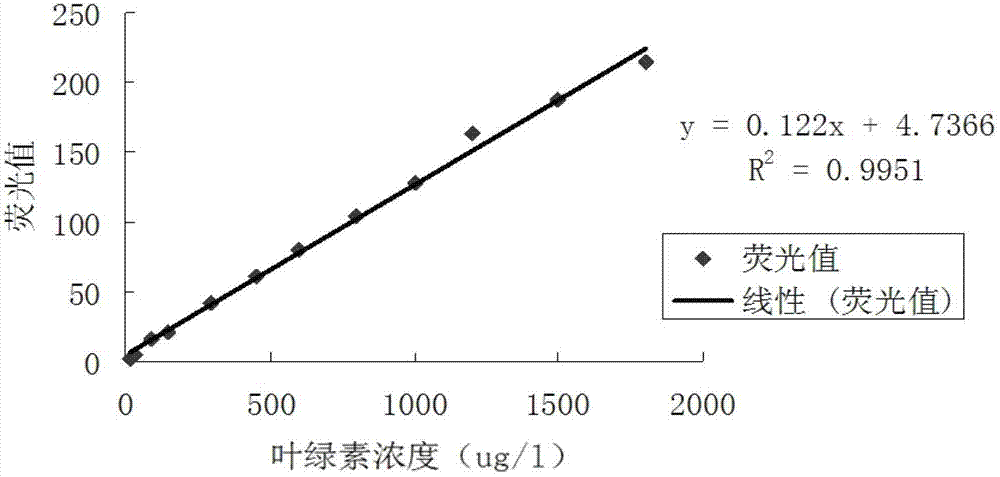 Method for quickly and real-timely measuring water chlorophyll through replacing chlorophyll standard substance with microcystis aeruginosa