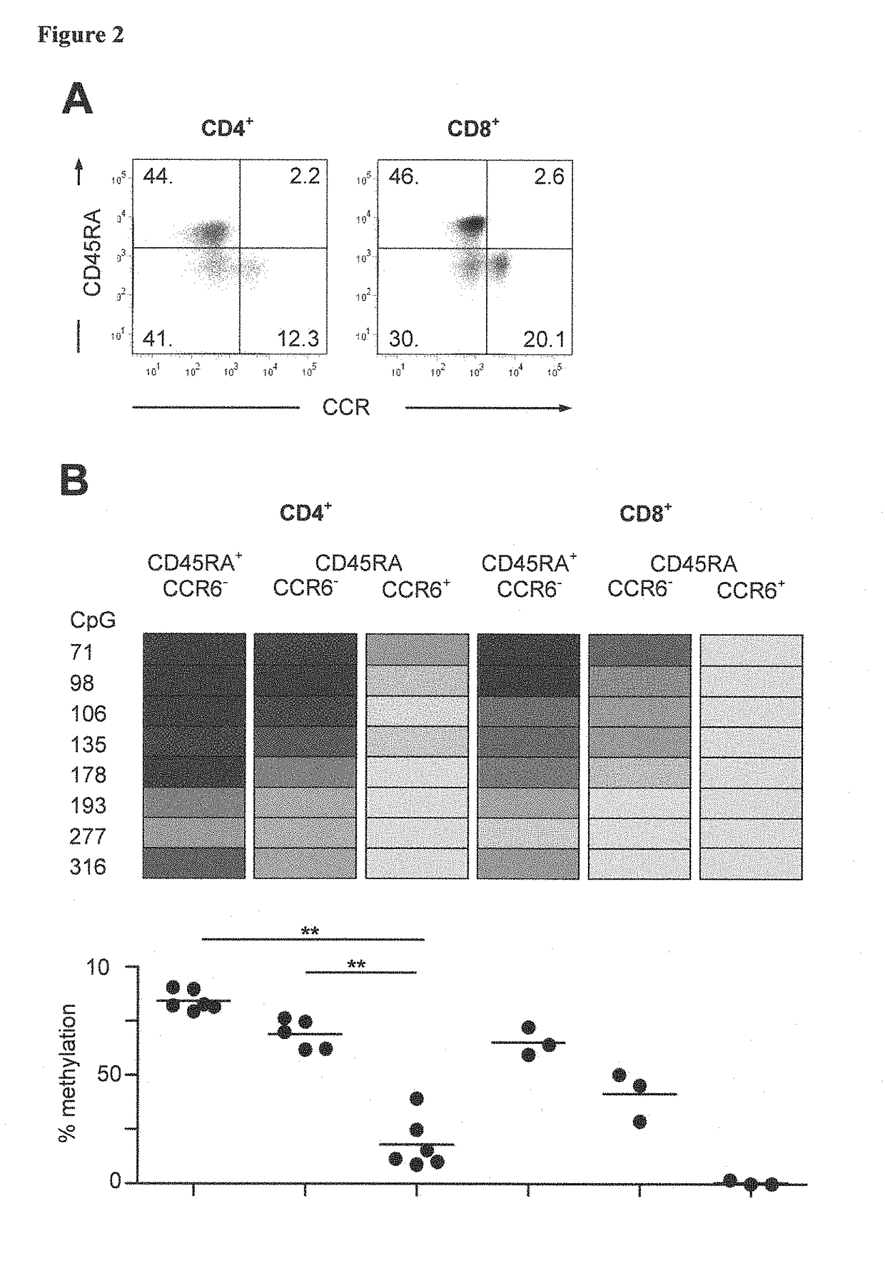 Detection of immune cells, in particular T cells through DNA-methylation analysis of the genes <i>CCR6 </i>and <i>BLR1</i>