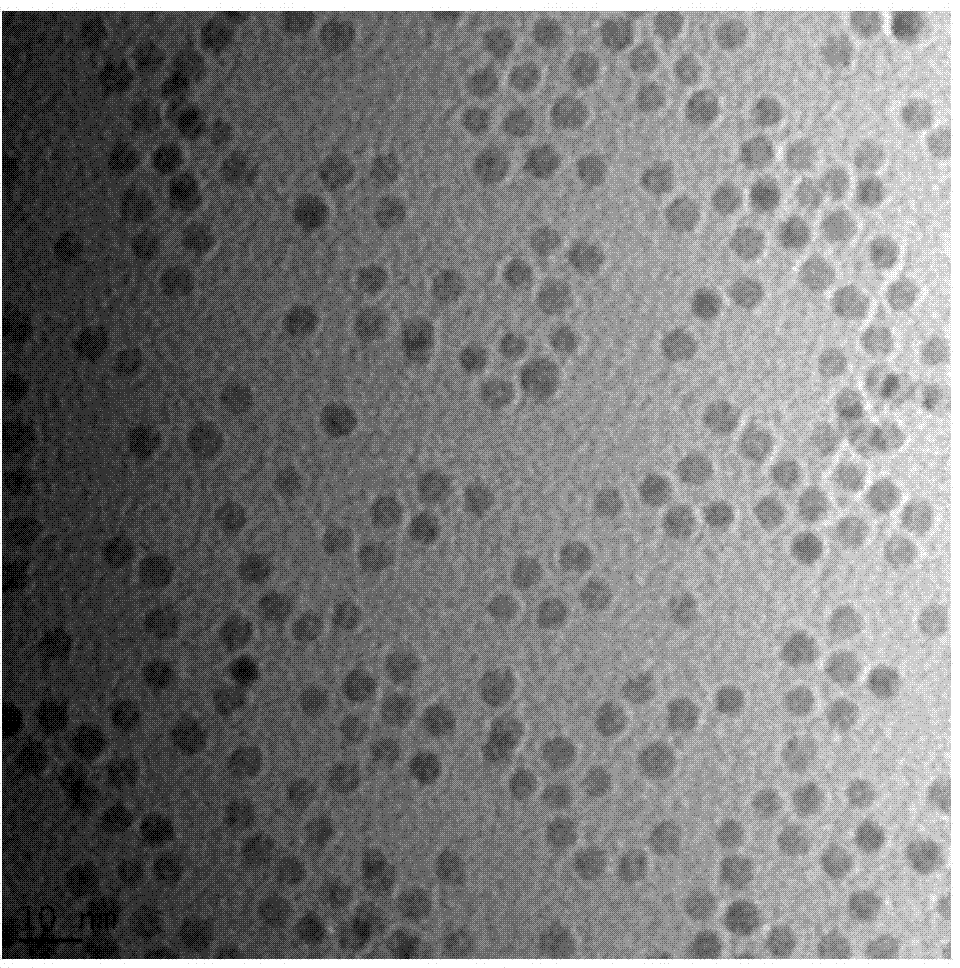 A kind of preparation method of γ-fe2o3/sio2 nanocomposite material and nanocomposite material particle