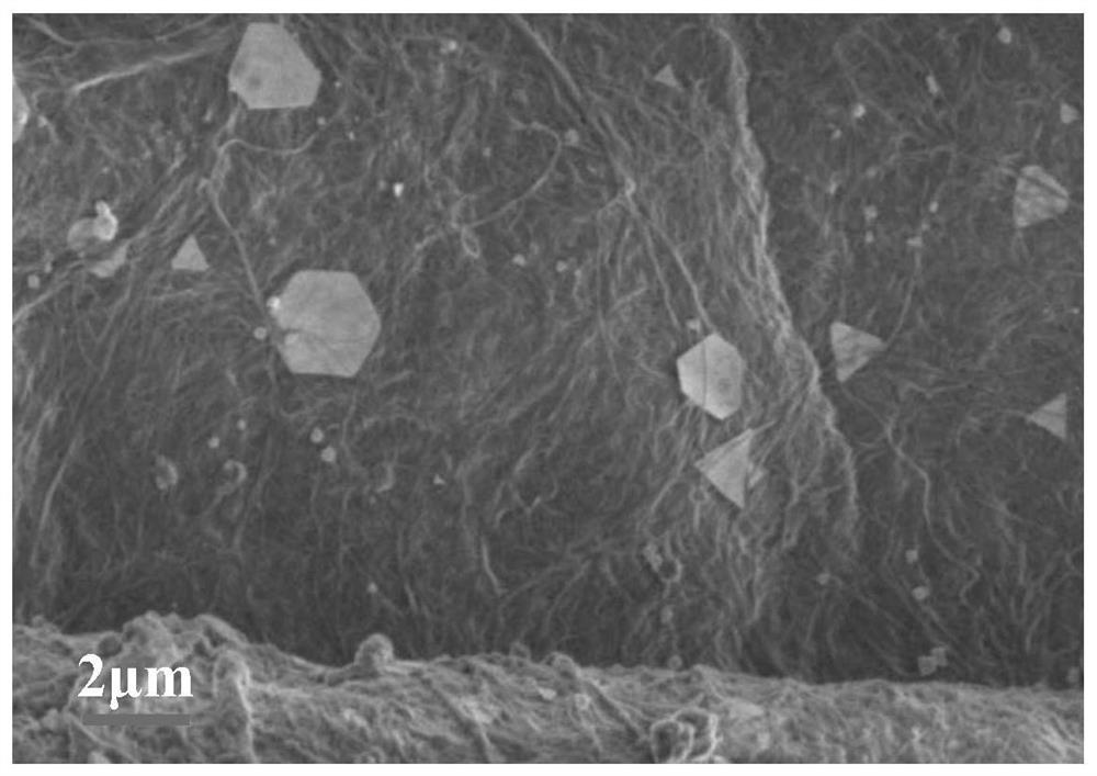 Antibacterial film with bacterial cellulose loaded with gold nanosheets as well as preparation method and application of antibacterial film