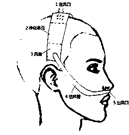 Head-wearing air purifier