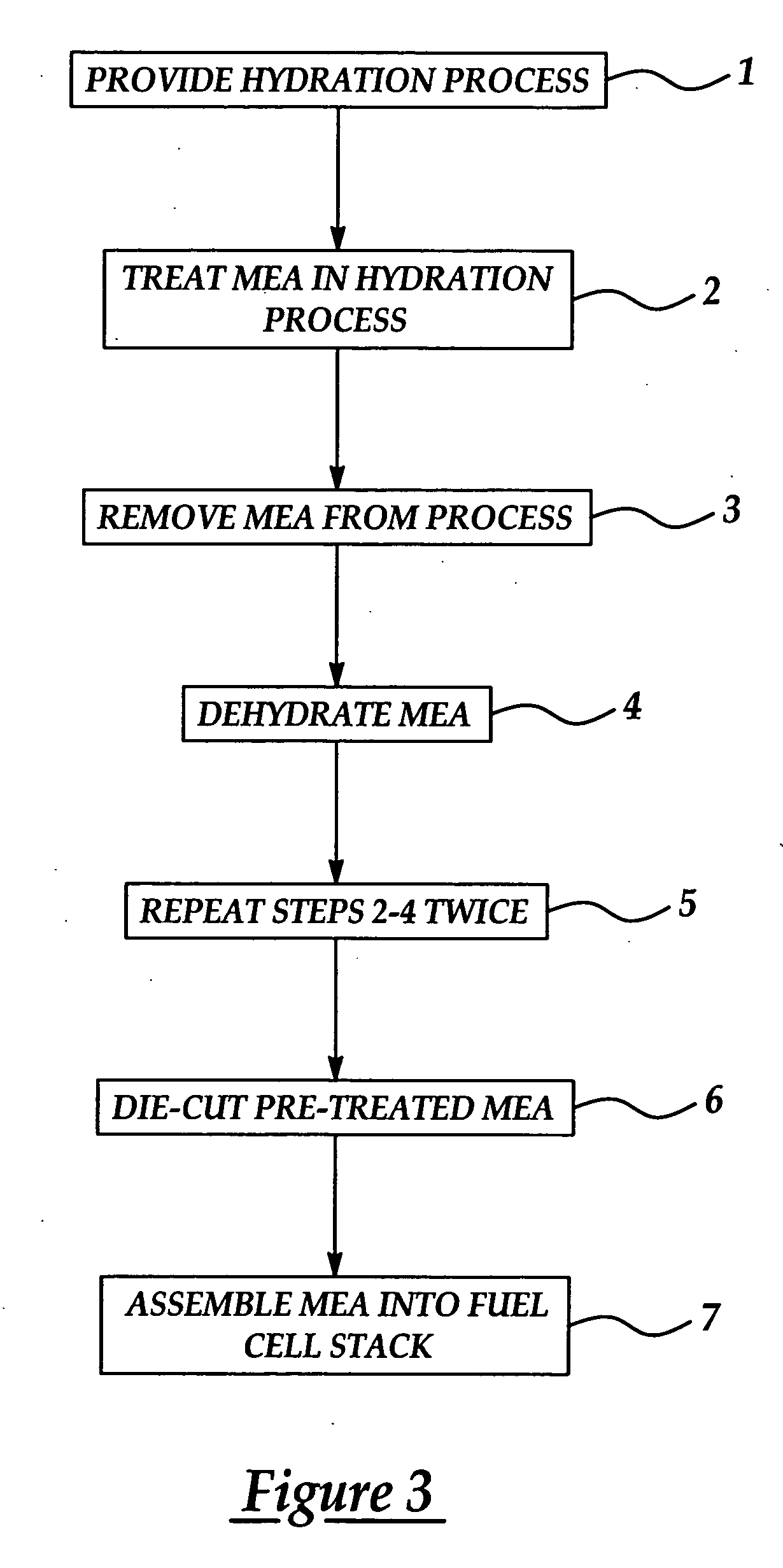 Pre-treatment method for membrane electrode assembly