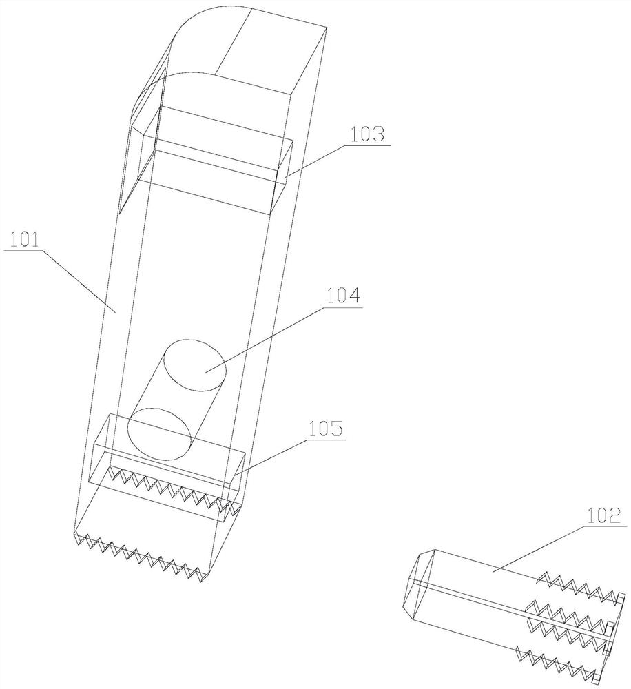 Primary-secondary carrier and primary carrier for primary-secondary carrier