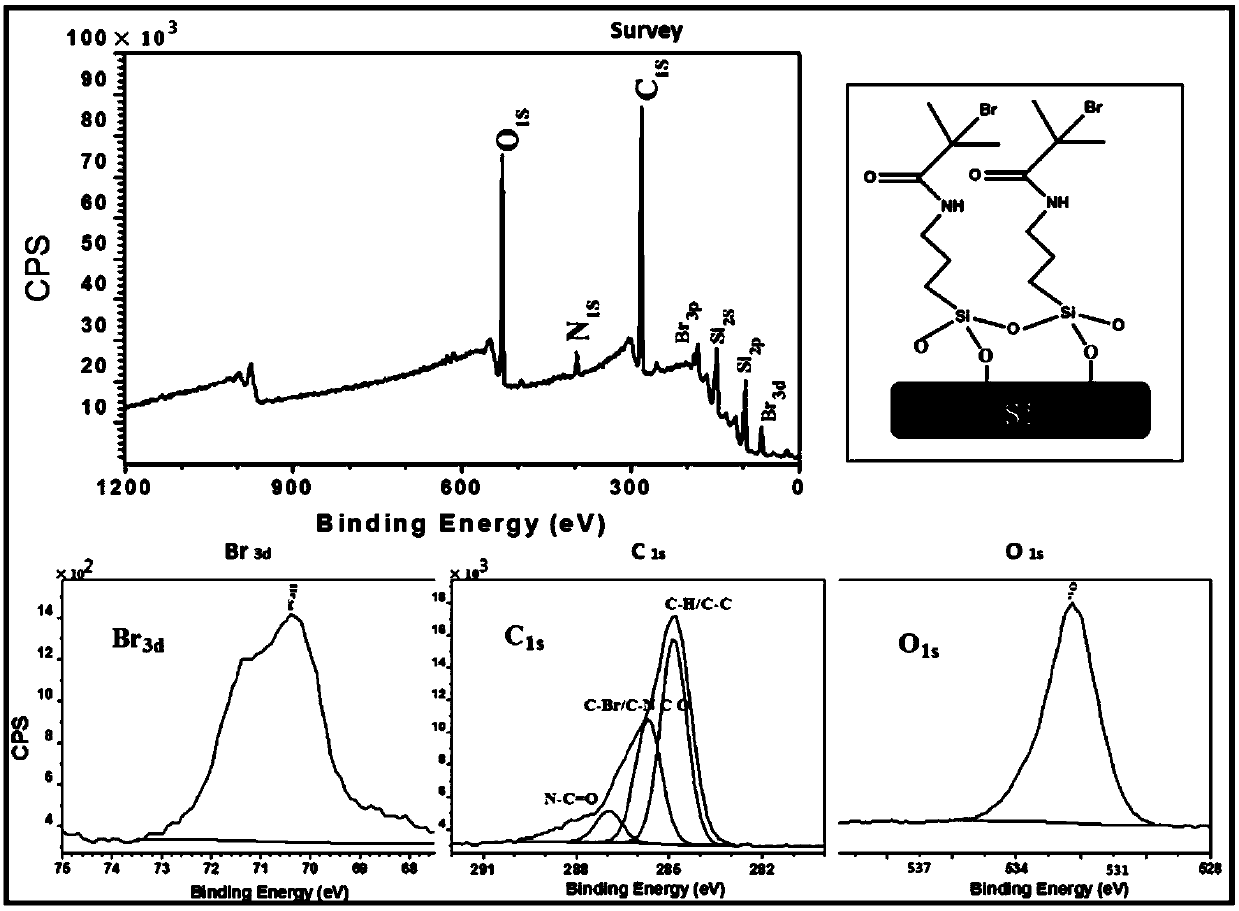 A silicon chip grafted with polyionic liquid and its preparation method and application