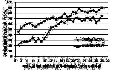 A kind of traditional Chinese medicine composition for treating deafness or deafness