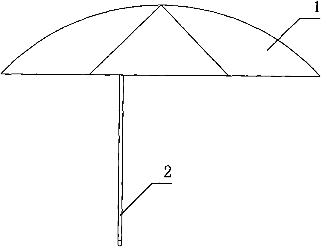 Umbrella