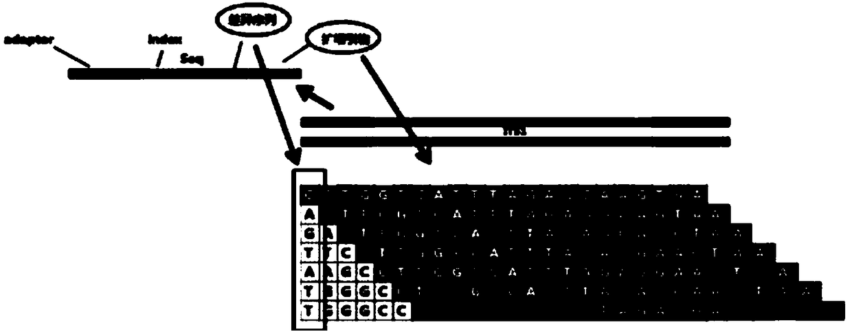 Automatic analysis method of biodiversity