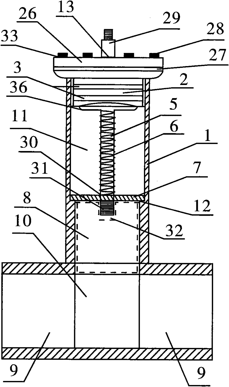 Multifunctional engine starter