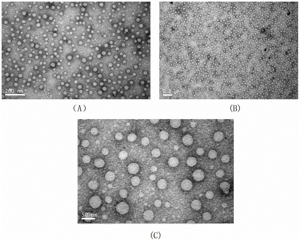 Hydrophobically modified polyethylenimines and their use as protein carriers