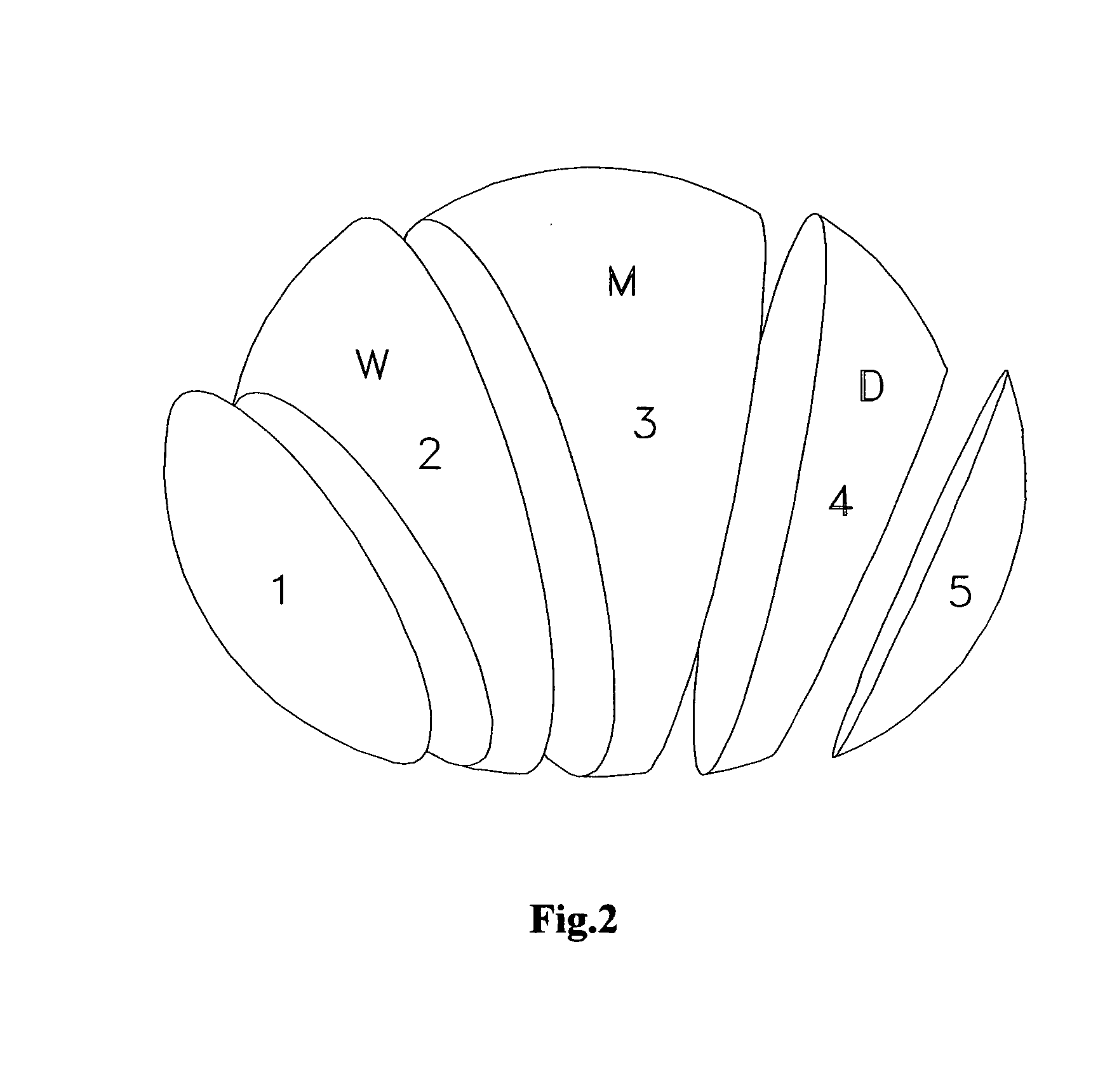 Internal combustion two stroke oscillating engine