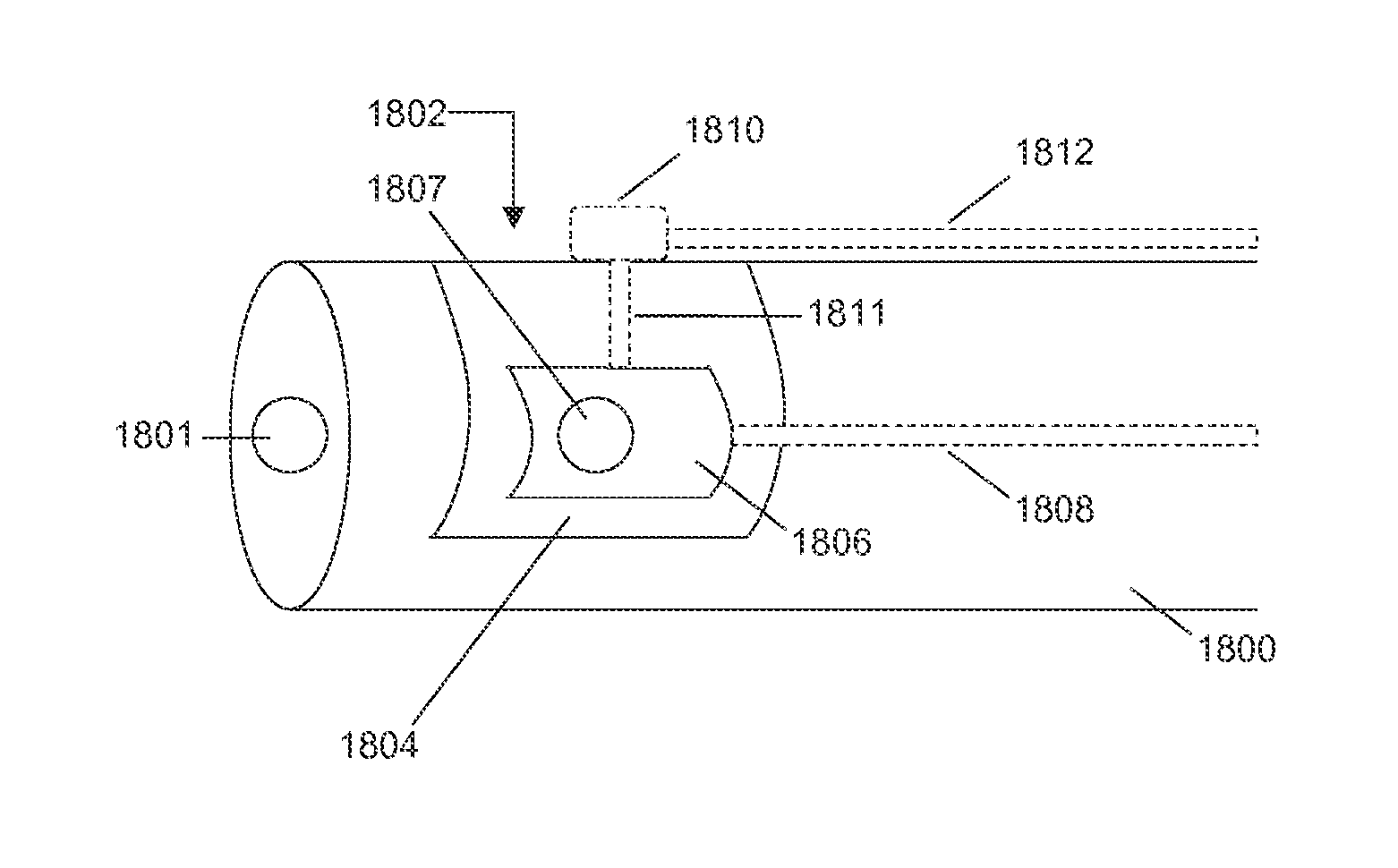 Secondary imaging endoscopic device