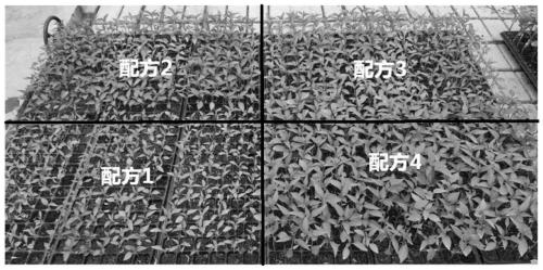 Soil remediation agent for remedying pepper continuous cropping obstacles as well as preparation method and application thereof