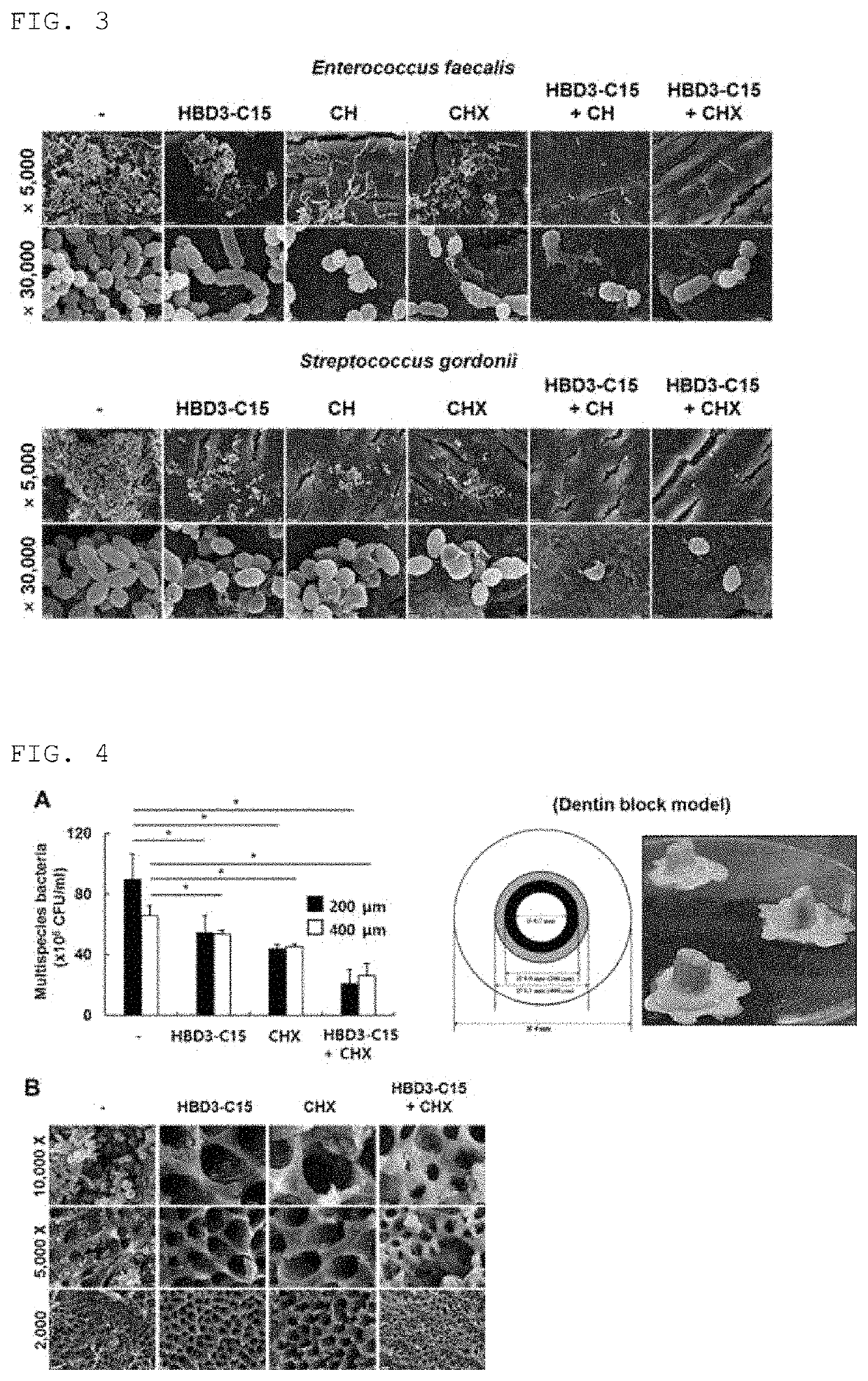 Peptide for inhibiting biofilms