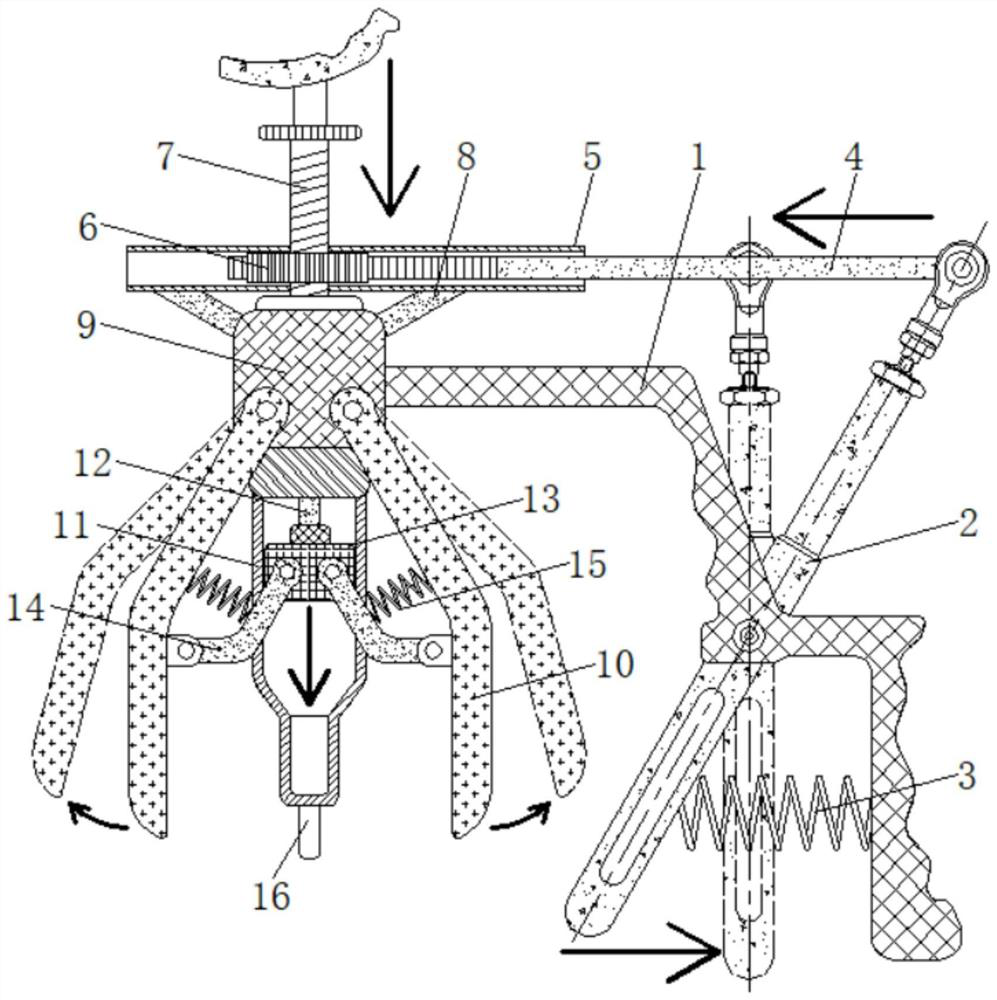 Veterinary drenching device capable of preventing equipment from being bitten during drenching