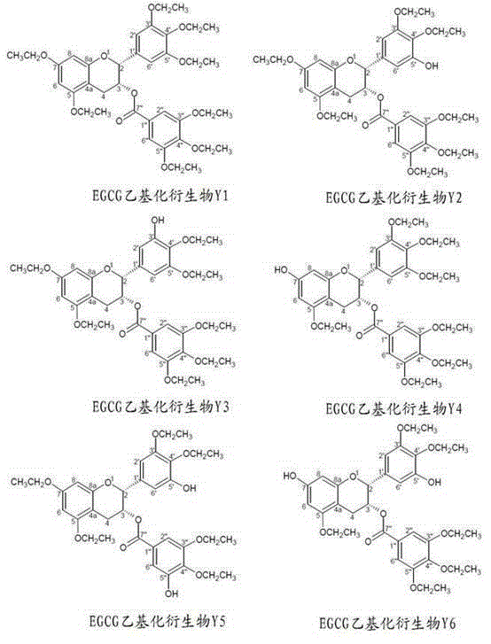 Application of EGCG structure modified derivatives in preparation of blood vessel regulating and controlling medicine