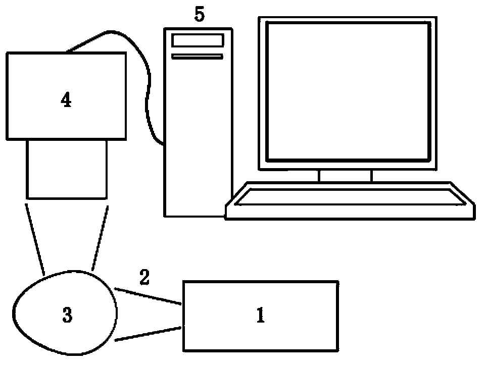 Non-invasive method and device for detecting survival status of egg embryo