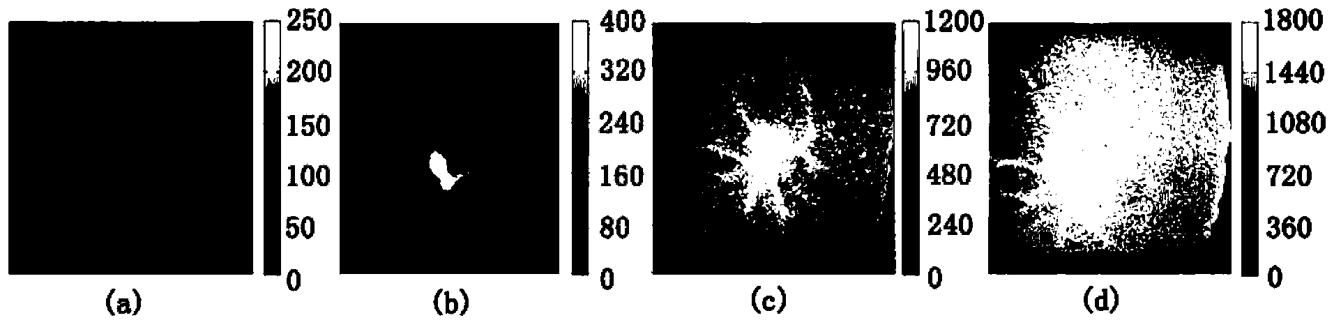 Non-invasive method and device for detecting survival status of egg embryo