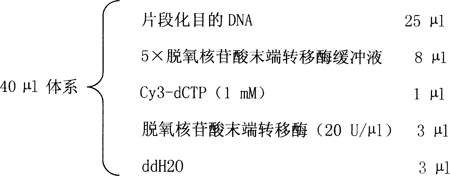 Oligonucleotide chip for detecting complete genome CpG island and uses thereof