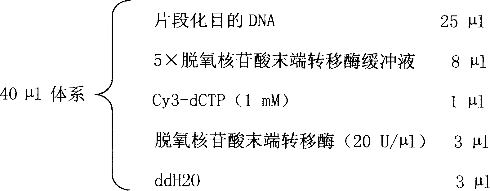 Oligonucleotide chip for detecting complete genome CpG island and uses thereof