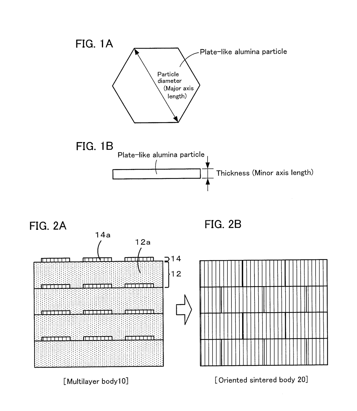 Method for producing oriented sintered body