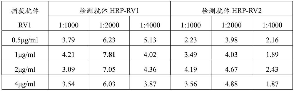 Enzyme linked immunosorbent assay kit for detecting rabies virus glycoprotein antigen and application of kit