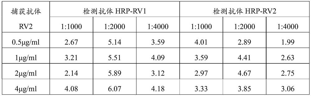 Enzyme linked immunosorbent assay kit for detecting rabies virus glycoprotein antigen and application of kit