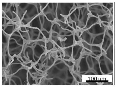 Resilient magnetic carbon foam and preparation method thereof