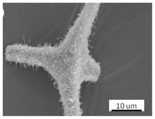 Resilient magnetic carbon foam and preparation method thereof